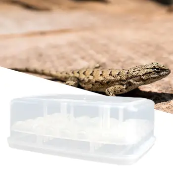 16 Sítí Plaz Vejce Inkubátor Zásobník Kontejner Gecko Želvy Box