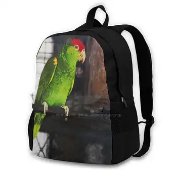 Zelené A Červené Andulky Teen Student Batoh Na Notebook, Cestovní Tašky Červená Koruna Papoušek Pták Papoušků Papegaai Papagall